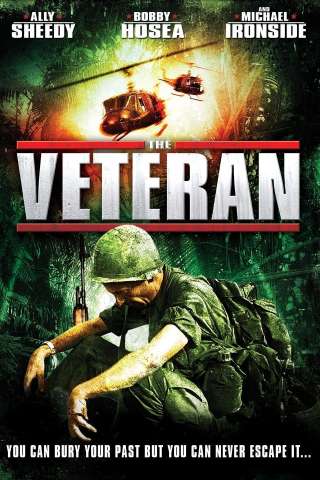 The Veteran (2006) streaming