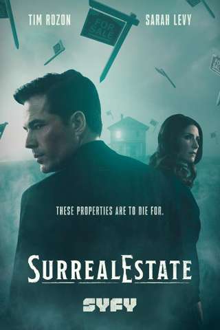 Agenzia Roman - Case infestate vendesi (2021 - In Lavorazione) streaming