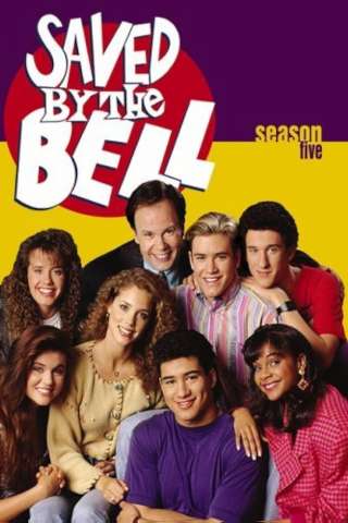 Bayside School (1989 - 1992) streaming