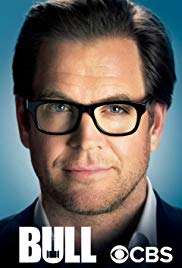 Bull (2016 - In Lavorazione) streaming