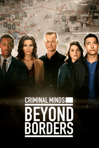 Criminal Minds Beyond Borders (2016 - 2017) streaming