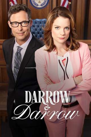 Darrow & Darrow (2017 - In Lavorazione) streaming