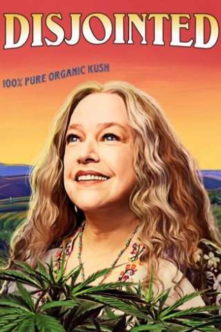 Disjointed (2017 - Conclusa) streaming