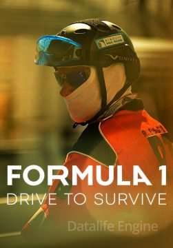 Formula 1: Drive to Survive (2019 - In Lavorazione) streaming