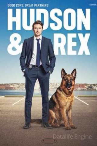 Hudson & Rex (2019 - In Lavorazione) streaming