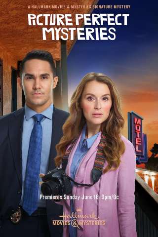 Le indagini di Allie Adams (In Lavorazione - 2021) streaming