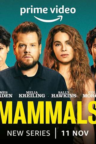 Mammals (2022 - In Lavorazione) streaming