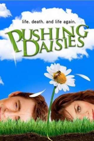 Pushing Daisies (2007 - Cancellata) streaming