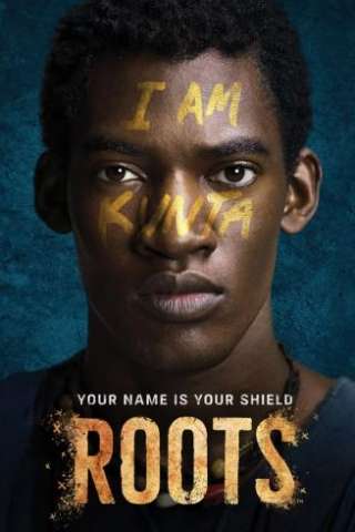 Radici (2016 - Conclusa) streaming