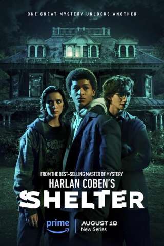 Shelter (2023 - In Lavorazione) streaming