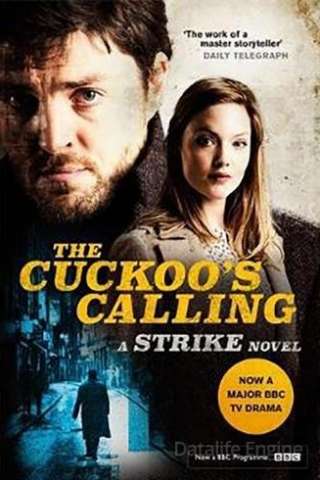 Strike (2017 - In Lavorazione) streaming