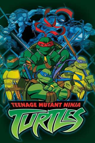 Tartarughe Ninja (2003) (2003 - 2010) streaming