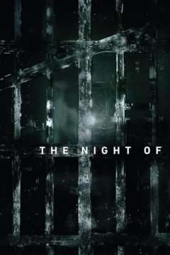 The Night Of (2016) streaming