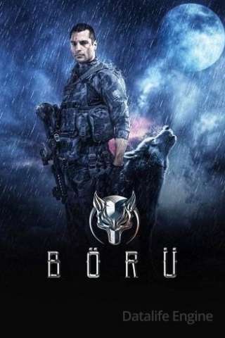 Wolf (2018 - In Lavorazione) streaming