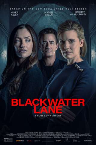 Blackwater Lane: La moglie imperfetta (2024) streaming