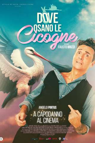 Dove osano le cicogne (2025) streaming