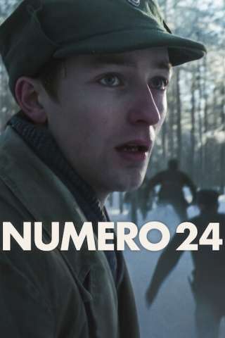 Numero 24 (2024) streaming