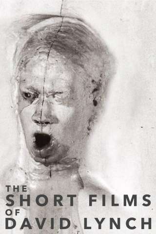 The Short Films of David Lynch (2002) streaming
