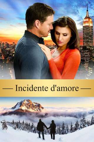 Incidente d'amore (2013) streaming