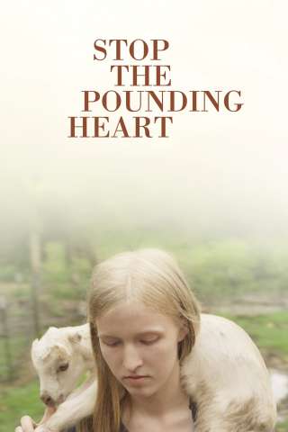 Ferma il tuo cuore in affanno (2013) streaming