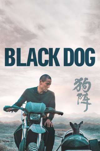 Black Dog (2024) streaming