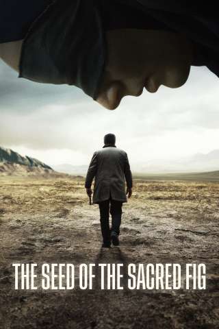 Il seme del fico sacro (2024) streaming