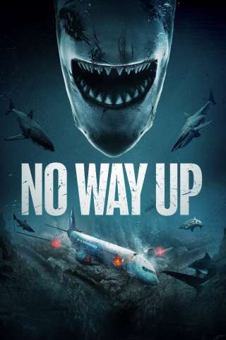 No way up - Senza via di uscita (2024) streaming