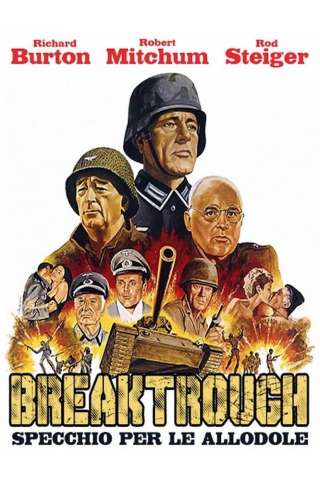 Specchio per le allodole (1979) streaming