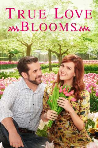 Amore in fiore (2019) streaming