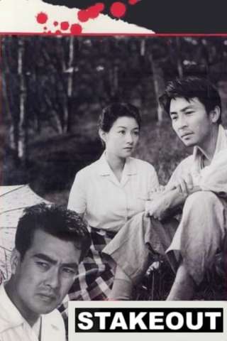 Stakeout (1958) streaming