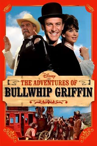 Un maggiordomo nel Far West (1967) streaming