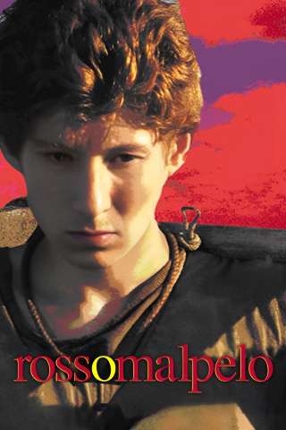 Rosso Malpelo (2007) streaming