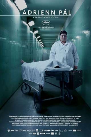 Adrienn Pál (2011) streaming