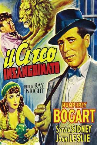 Il circo insanguinato (1941) streaming