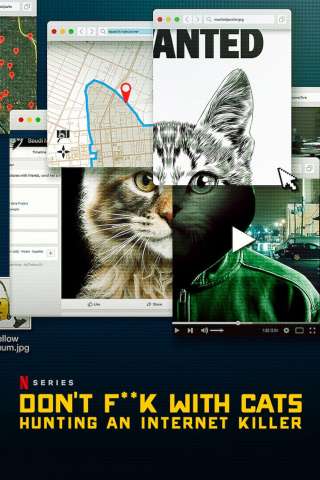 Giù le mani dai gatti: caccia a un killer online (2019) streaming