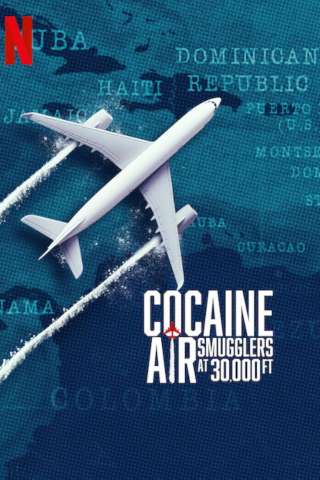 Il caso Air Cocaine (2025) streaming